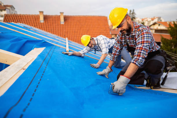 Roof Waterproofing Services in Minor, AL