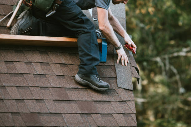 Best Roof Waterproofing Services  in Minor, AL